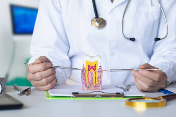 Best Emergency Dental Filling Replacement  in Madisonville, TN